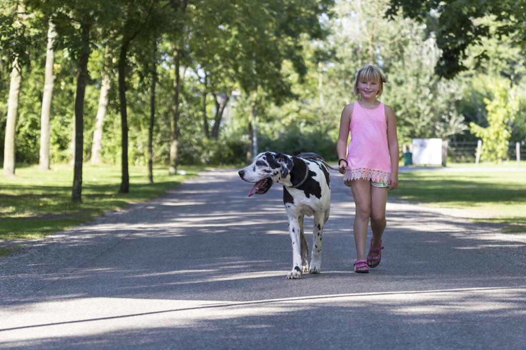 Oostappen Vakantiepark Marina Beach Bv Vakantiepark
